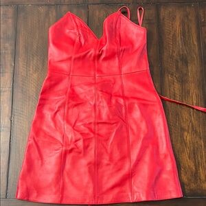 Scarlet Elegance Mini Dress